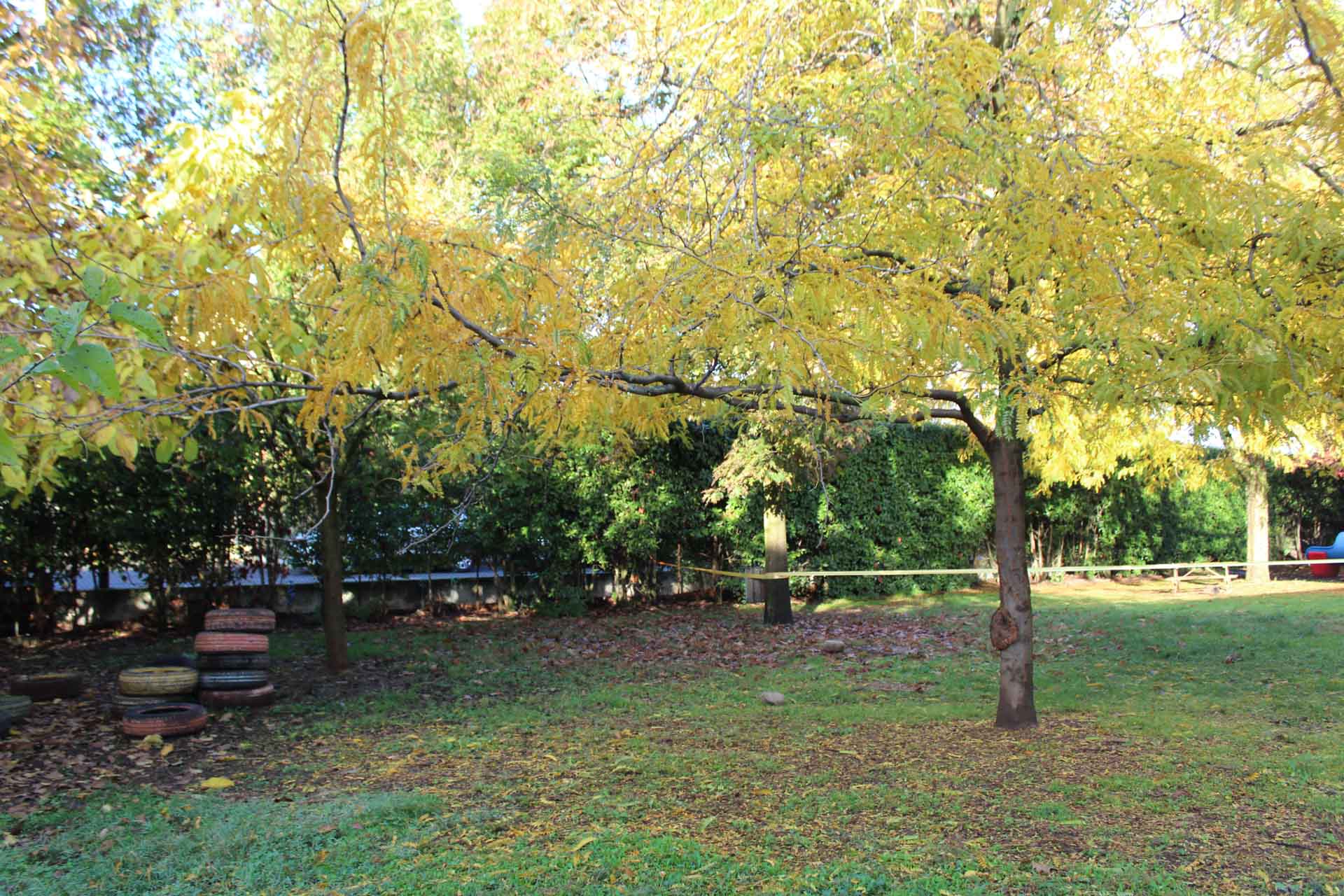 https://www.scuolainfanziachiari.it/wp-content/uploads/2016/10/Immagini-Struttura-e-Giardino-Scuola-Materna-Mazzotti-Bergomi-Chiari-Brescia-1.jpeg