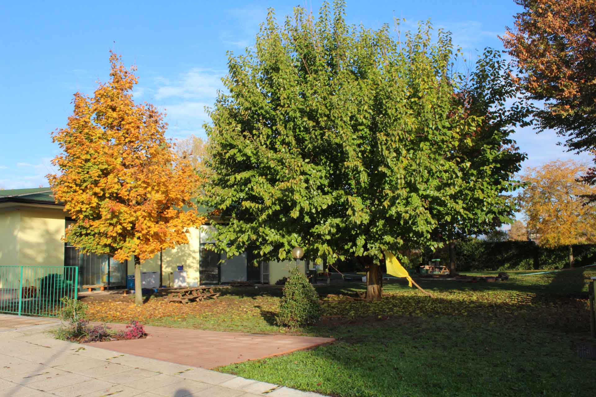 https://www.scuolainfanziachiari.it/wp-content/uploads/2016/10/Immagini-Struttura-e-Giardino-Scuola-Materna-Mazzotti-Bergomi-Chiari-Brescia-13.jpeg