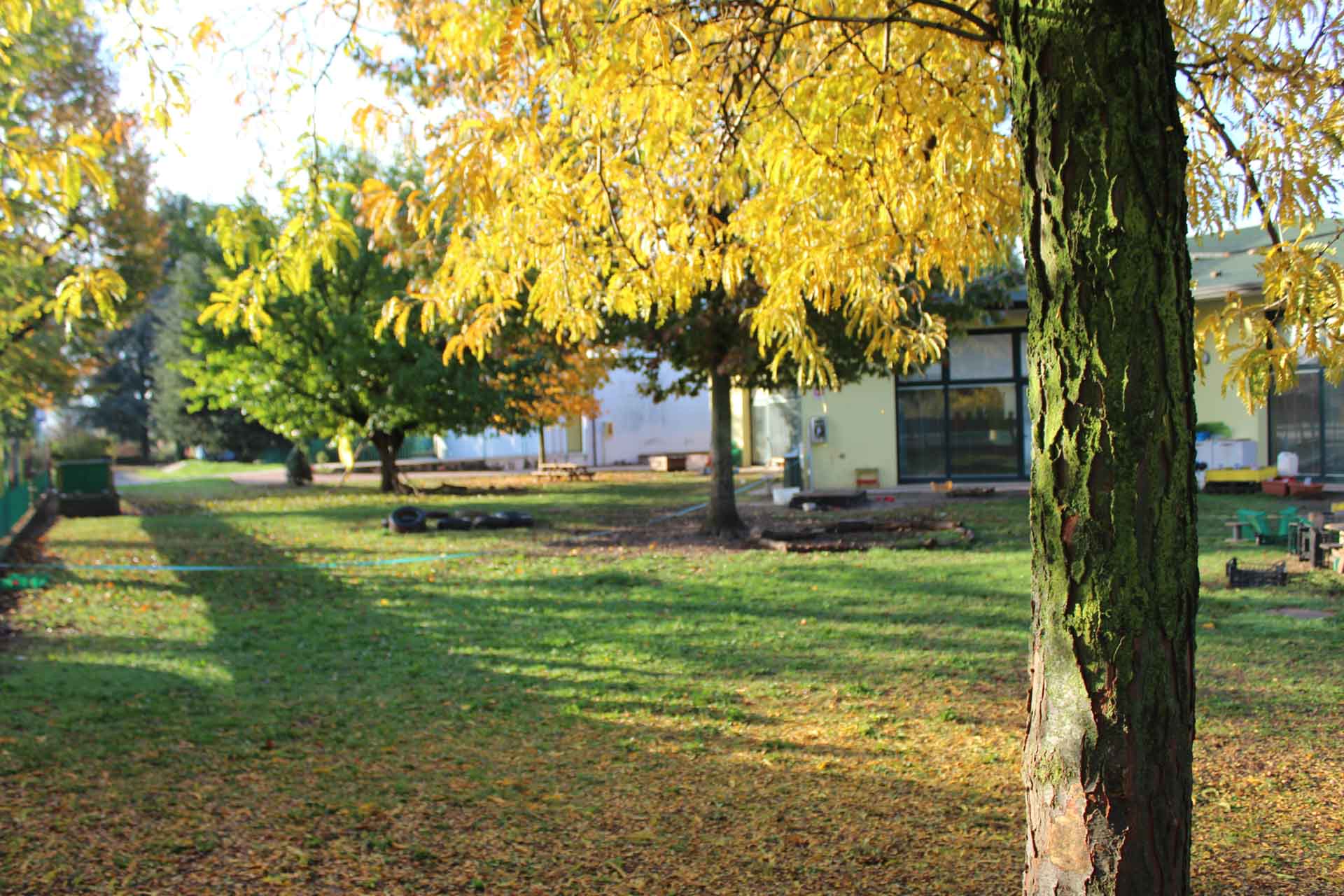 https://www.scuolainfanziachiari.it/wp-content/uploads/2016/10/Immagini-Struttura-e-Giardino-Scuola-Materna-Mazzotti-Bergomi-Chiari-Brescia-6.jpeg